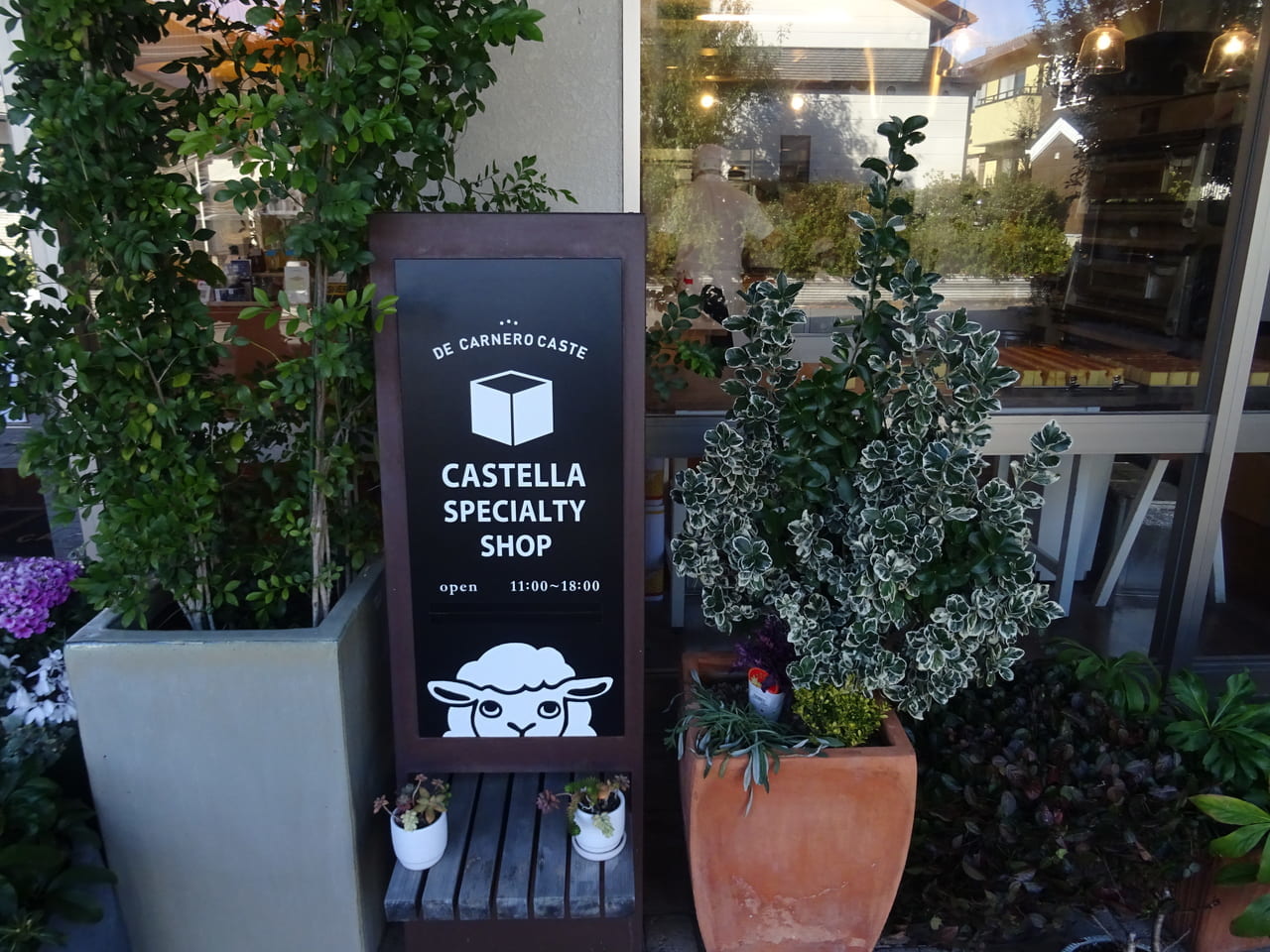 De Carnero CASTE 津本店