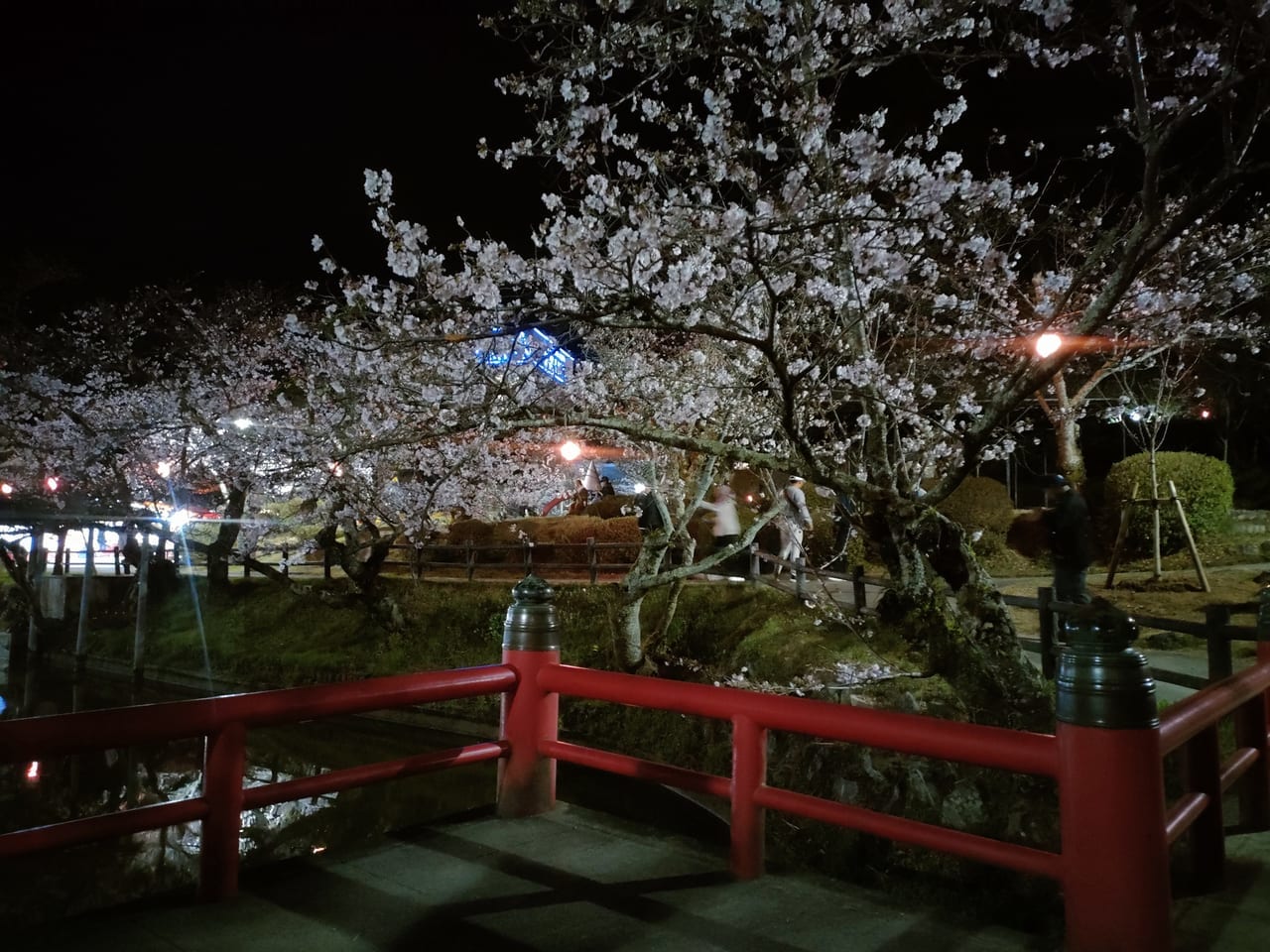 2023年3月24日「津偕楽公園春まつり」の様子