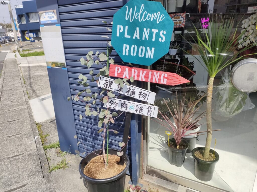 2024年3月15日オープン「Plants Room（プランツルーム）」
