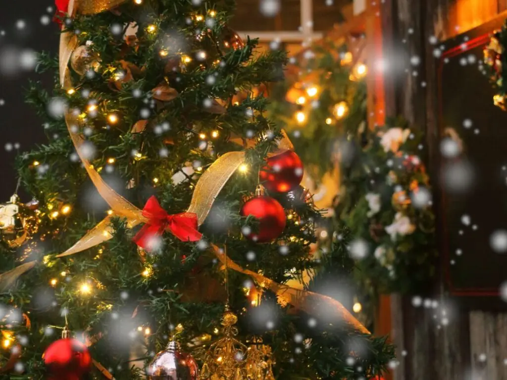 2025年12月20日開催「イルミネーション点灯式withひさい緑の風マルシェ」