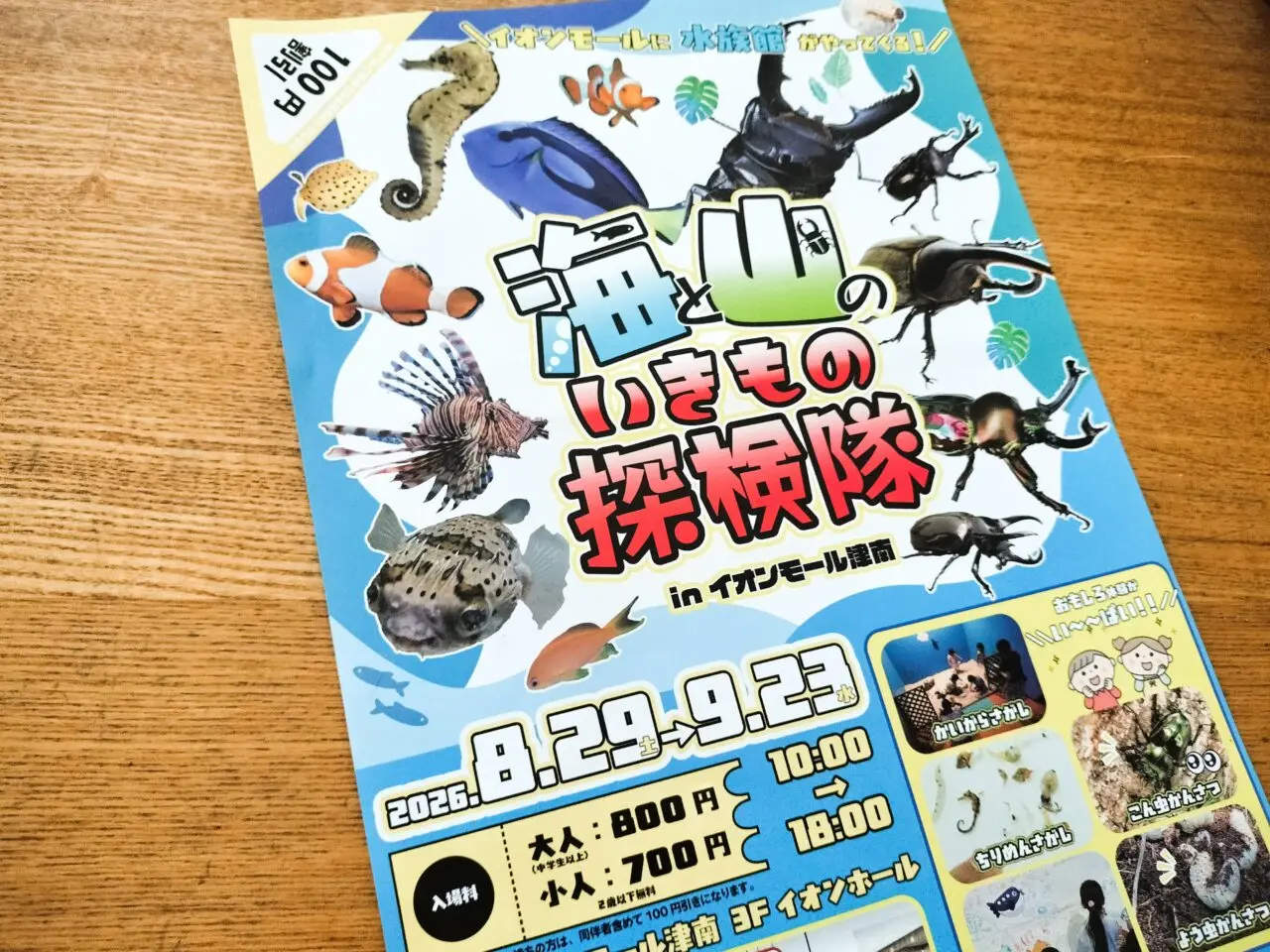 2026年8月29日~「海と山のいきもの探検隊 in イオンモール津南」